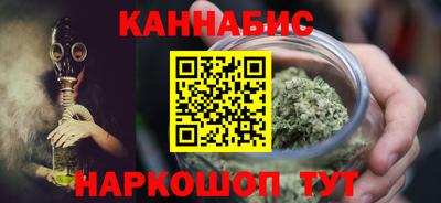 дмт Аргун