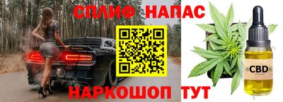 дмт Аргун