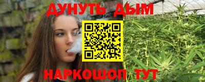 сатива Апшеронск