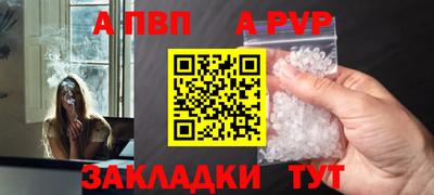дмт Аргун