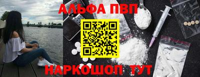 дмт Аргун