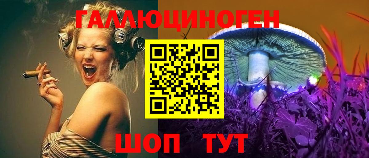 Псилоцибиновые грибы Psilocybe Алапаевск