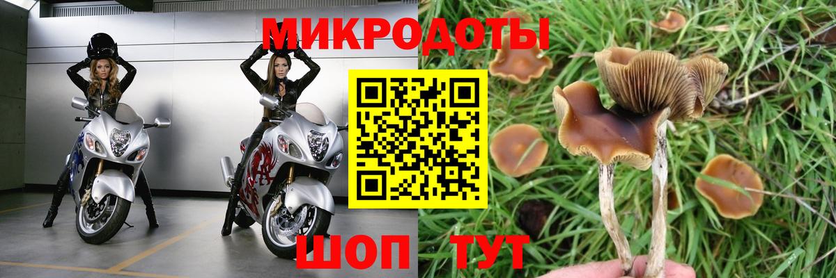 Галлюциногенные грибы Psilocybine cubensis  Вход с VPN  Псилоцибиновые грибы Psilocybe  Алапаевск 